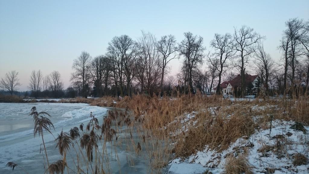 Bialki Dolne Dwor Osmolice B&B 외부 사진