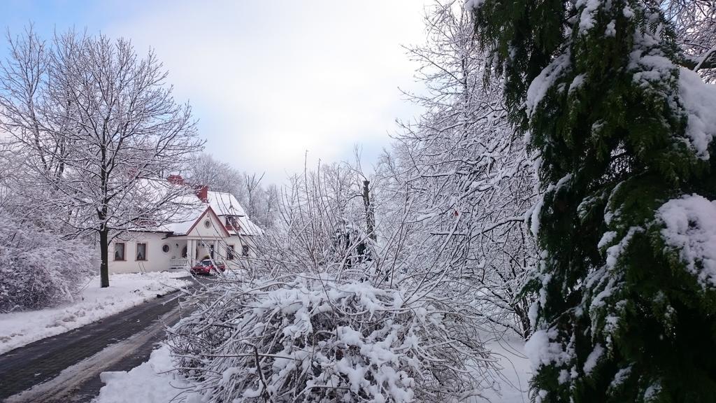 Bialki Dolne Dwor Osmolice B&B 외부 사진