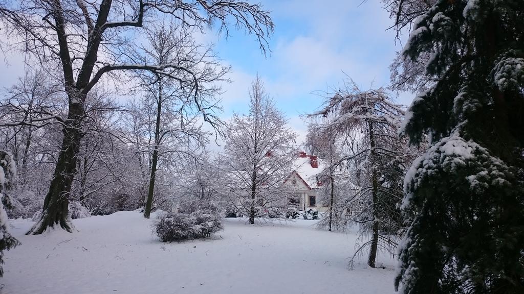 Bialki Dolne Dwor Osmolice B&B 외부 사진