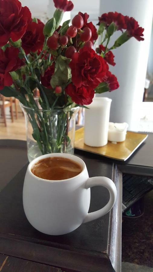 Bialki Dolne Dwor Osmolice B&B 외부 사진